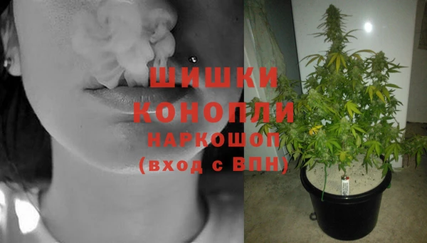 дмт Богородск