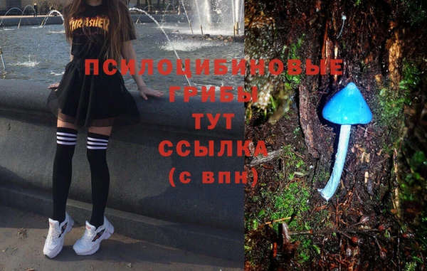 амф Богородицк