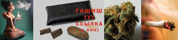 амф Богородицк