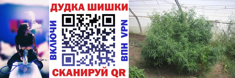 Бошки марихуана Bruce Banner Родники
